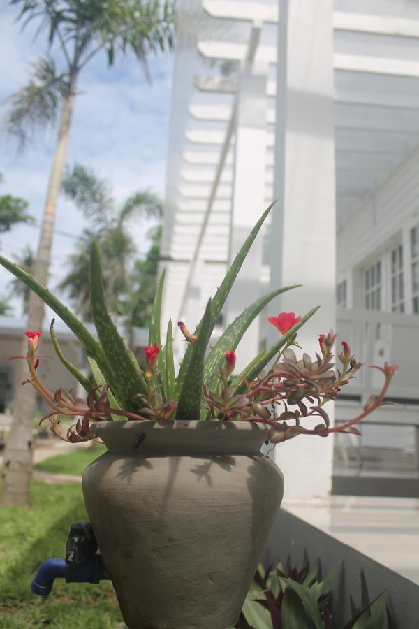 Casa Blanca Gili Air酒店 外观 照片